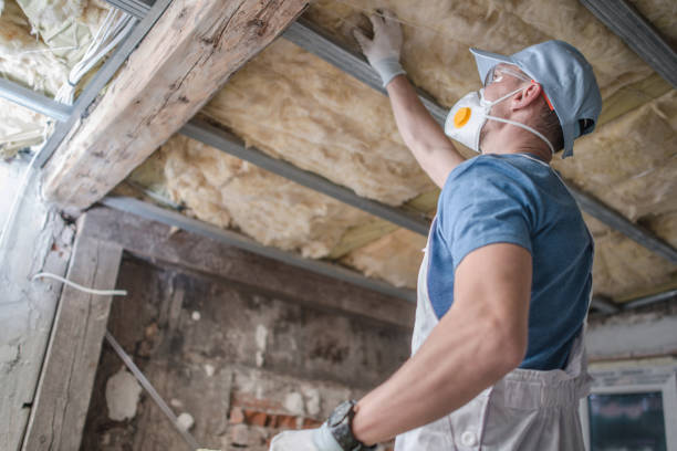 Best Commercial Insulation in Ellinwood, KS